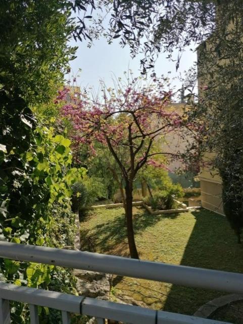Villa Soraya , Quiet Location With Big Garden Near Beach And Old Town Of Nice Extérieur photo