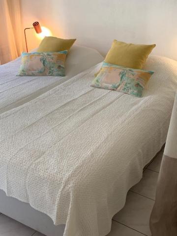 Villa Soraya , Quiet Location With Big Garden Near Beach And Old Town Of Nice Extérieur photo